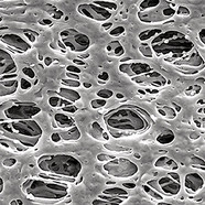 Membrane filters Express<sup>&reg;</sup> PLUS PES, 0,45 µm, &#216;: 47 mm