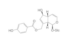 Agnusid