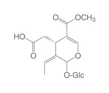 Elenolic acid glucoside