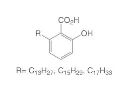 Ginkgolic acids RN
