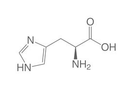 L-Histidine, 25 g