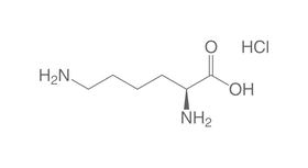 L-Lysin Hydrochlorid, 25 g