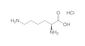 L-Lysine chlorhydrate, 25 g