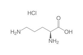 L-Ornithine monochlorhydrate, 25 g