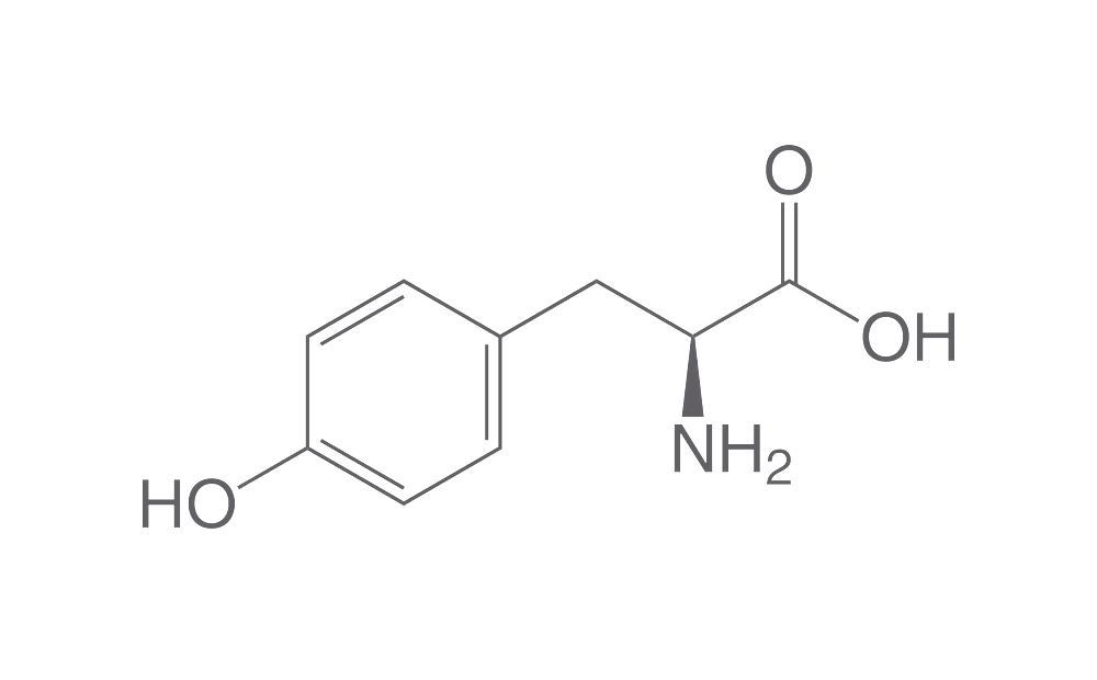 L-Tyrosine, 100 g | Tyrosine | Amino Acids and Amino Acid Derivatives |  Organic & Bioorganic Chemicals | Chemikalien | Carl Roth - International