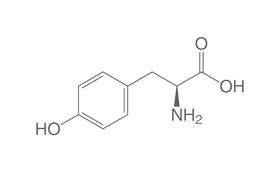 L-Tyrosine, 25 g