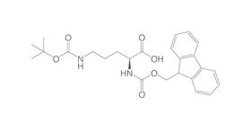 Fmoc-L-Ornithine-(Boc), 1 g, glass