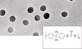 Filtres à membrane Polycarbonate Track-Etched, 0,8 µm, &#216;: 25 mm
