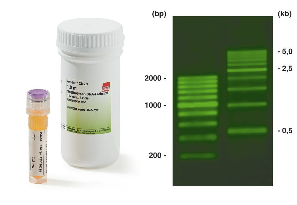 SYBR® Green DNA dye, 1.8 ml, 1 x 1.8 ml, A to Z, Chemicals