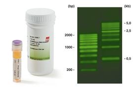 SYBR<sup>&reg;</sup> Green DNA-Farbstoff, 9.0 ml, 5 x 1.8 ml