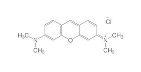 Pyronin G (C.&nbsp;I. 45005), 5 g