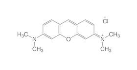 Pyronin G (C.&nbsp;I. 45005), 1 g