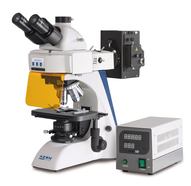 Fluorescence microscope OBN series OBN 148 trinocular