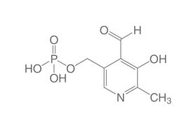 Phosphate de pyridoxal, 10 g