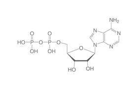 Adenosindiphosphat, 500 mg