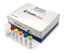 ClickTech EdU Cell Proliferation Kit 647