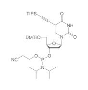 TIPS-5-Ethynyl-dU-CEP, 100 mg