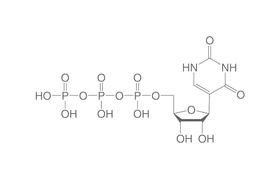 Pseudouridine-5'-triphosphate, 50 µl