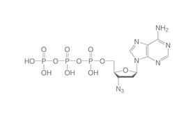 3'-Azido-2'3'-ddATP, 10 µl