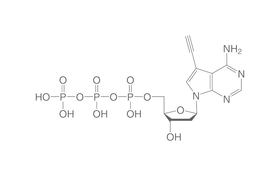 Alkyne-dATP, 100 µl