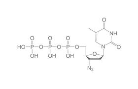 3'-Azido-2'3'-ddTTP, 10 µl