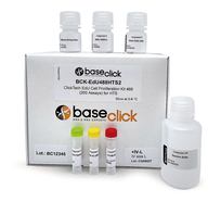 ClickTech EdU Cell Proliferation Kit 555 in vivo, M (500 mg additional EdU)