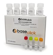 ClickTech EdU Cell Proliferation Kit 555, For 50 assays.