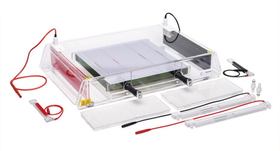 Electrode frame ROTIPHORESE<sup>&reg;</sup> PROfessional IEF