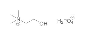 Dihydrogénophosphate de choline&nbsp;(Choline&nbsp;DHP), 25 g