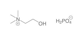 Cholin-dihydrogenphosphat (Choline DHP), 25 g