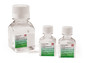 Geneticin disulphate (G418) solution, 10 ml