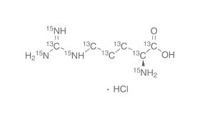 L-Arginin <sup>13</sup>C<sub>6</sub><sup>15</sup>N<sub>4</sub> Monohydrochlorid, 100 mg, Kunst.