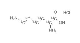 L-Lysine <sup>13</sup>C<sub>6</sub> hydrochloride, 100 mg, glass