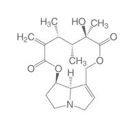 Senecivernine