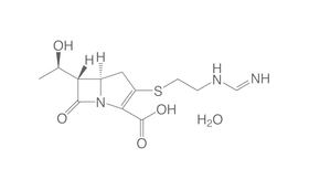 Imipenem monohydrate, 250 mg