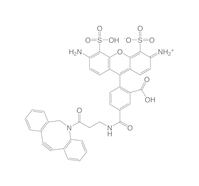 DBCO-AF488, 1 mg