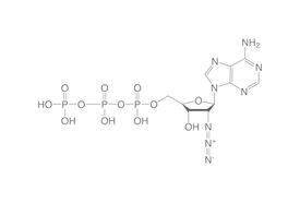 2'-Azido-2'-dATP, 10 µl