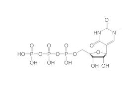 N1-Methylpseudo-UTP, 10 µl