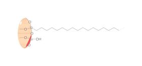 SPE-Polypropylensäulen ROTI<sup>&reg;</sup><i>X</i>Bond C18, 3 ml, 500 mg, 50 Stück
