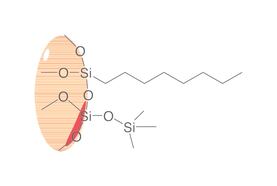 SPE-Polypropylensäulen ROTI<sup>&reg;</sup><i>X</i>Bond C8, 6 ml, 500 mg, 30 Stück