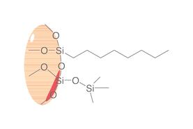 SPE-Polypropylensäulen ROTI<sup>&reg;</sup><i>X</i>Bond C8, 1 ml, 100 mg, 100 Stück