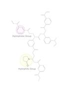 Colonnes SPE en polypropylène ROTI<sup>&reg;</sup><i>X</i>Bond HLB, 1 ml, 30 mg, 100 pcs