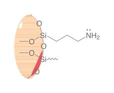 Colonnes SPE en polypropylène ROTI<sup>&reg;</sup><i>X</i>Bond NH<sub>2</sub>, 1 ml, 100 mg, 100 pcs