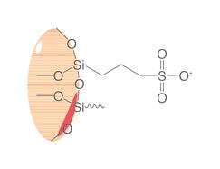 Colonnes SPE en polypropylène ROTI<sup>&reg;</sup><i>X</i>Bond PRS, 1 ml, 100 mg, 100 pcs