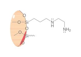 SPE-Polypropylensäulen ROTI<sup>&reg;</sup><i>X</i>Bond PSA (Diamino - QuEChERS), 3 ml, 200 mg, 50 Stück