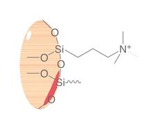Colonnes SPE en polypropylène ROTI<sup>&reg;</sup><i>X</i>Bond SAX, 1 ml, 100 mg, 100 pcs