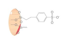 SPE-Polypropylensäulen ROTI<sup>&reg;</sup><i>X</i>Bond SCX, 3 ml, 500 mg, 50 Stück