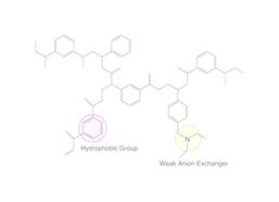 SPE-Polypropylensäulen ROTI<sup>&reg;</sup><i>X</i>Bond WAX, 3 ml, 200 mg, 50 Stück