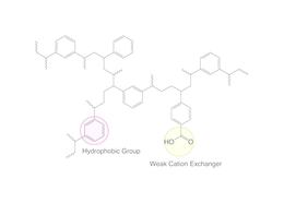 Colonnes SPE en polypropylène ROTI<sup>&reg;</sup><i>X</i>Bond WCX, 1 ml, 30 mg, 100 pcs