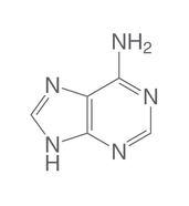 Adénine, 25 g